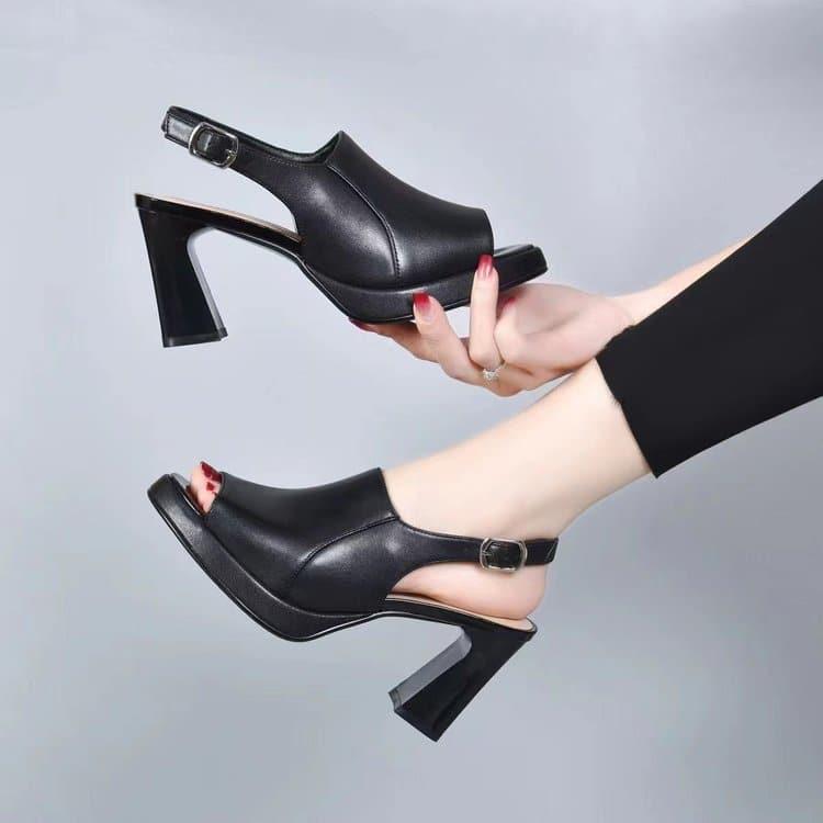 gid://shopify/MediaImage/24956962865246